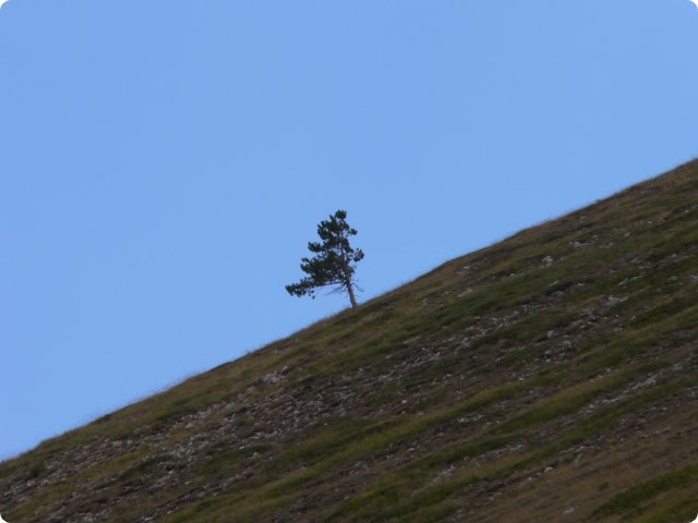 81.jpg