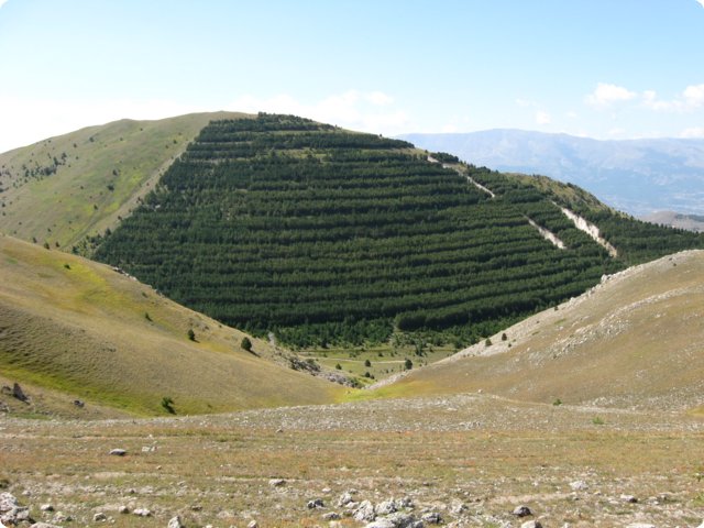 90.jpg