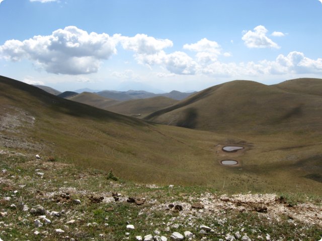 91.jpg