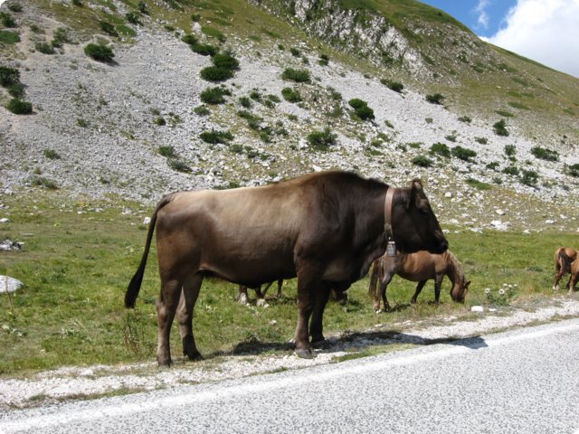 93.jpg
