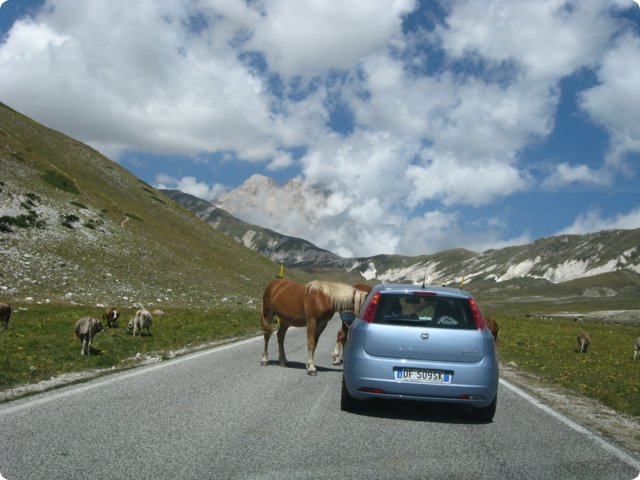 94.jpg