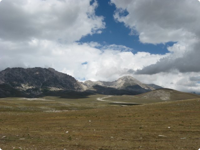 95.jpg