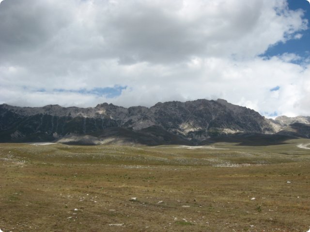 96.jpg