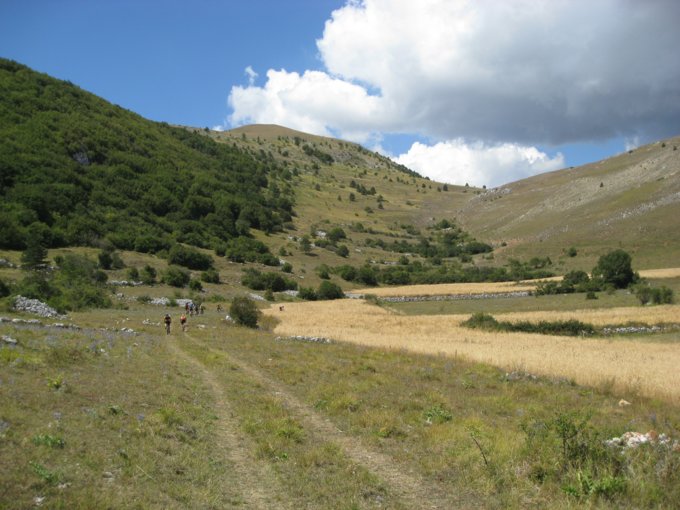 68.jpg