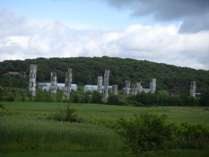 107.jpg