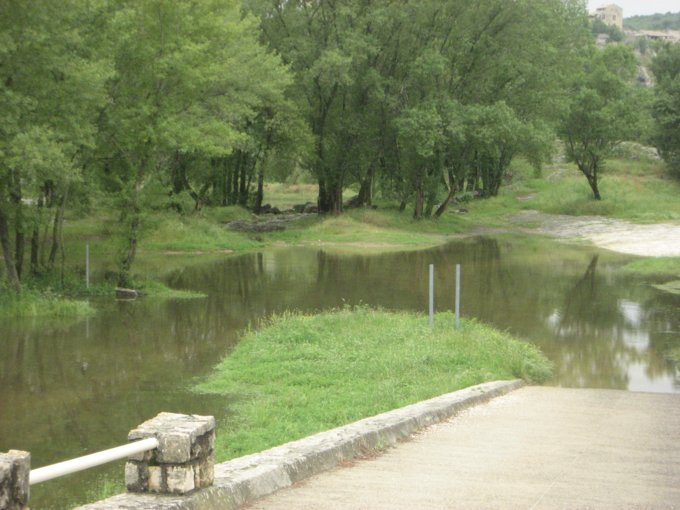 85.jpg