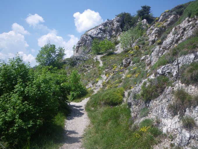 65.jpg