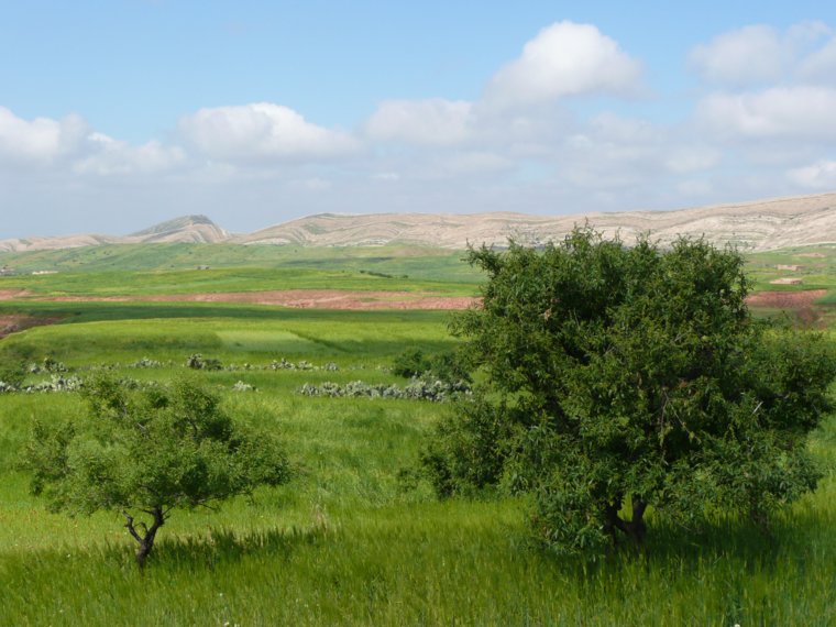 marokko_058.jpg