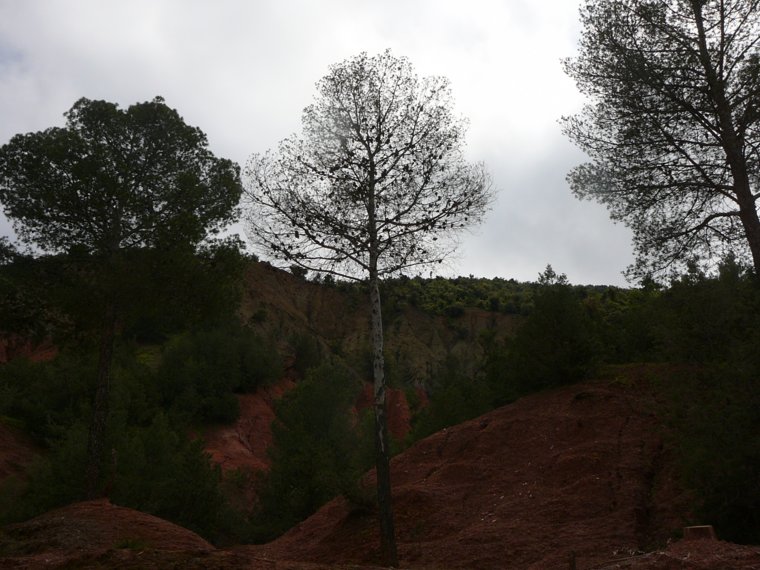 p1010763.jpg