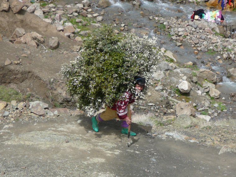 p1010545.jpg