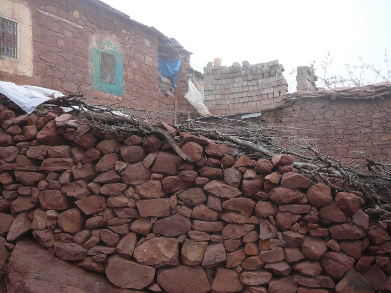 p1010689.jpg
