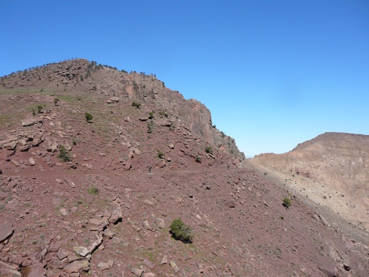 p1010786.jpg