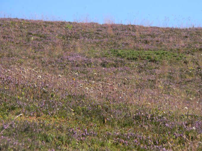 107.jpg
