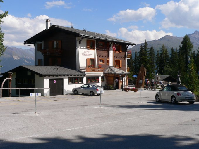 231.jpg