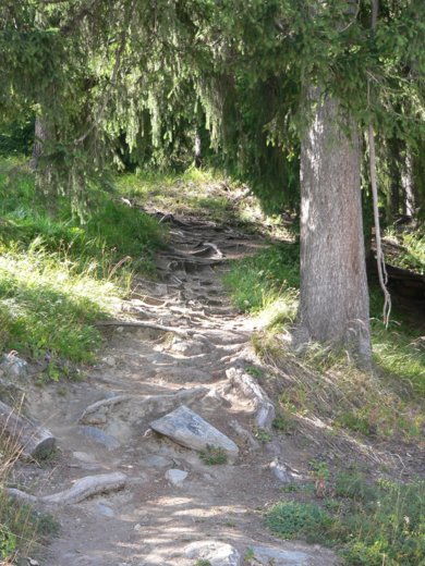 235.jpg
