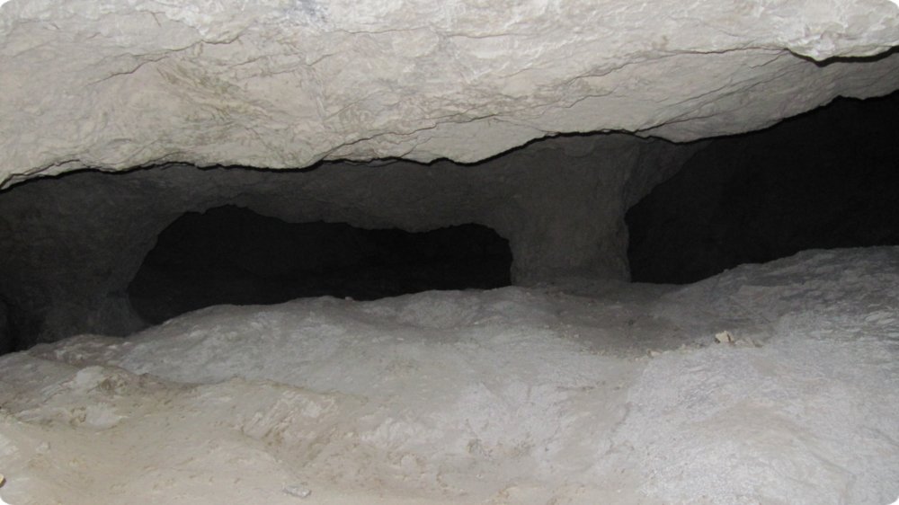 116.jpg