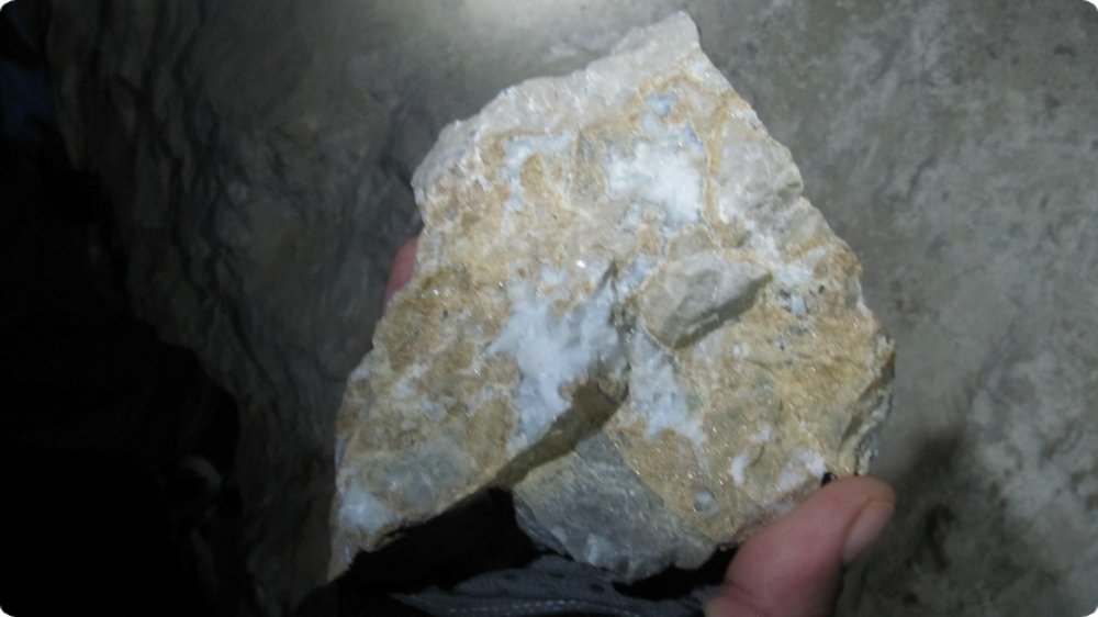 119.jpg