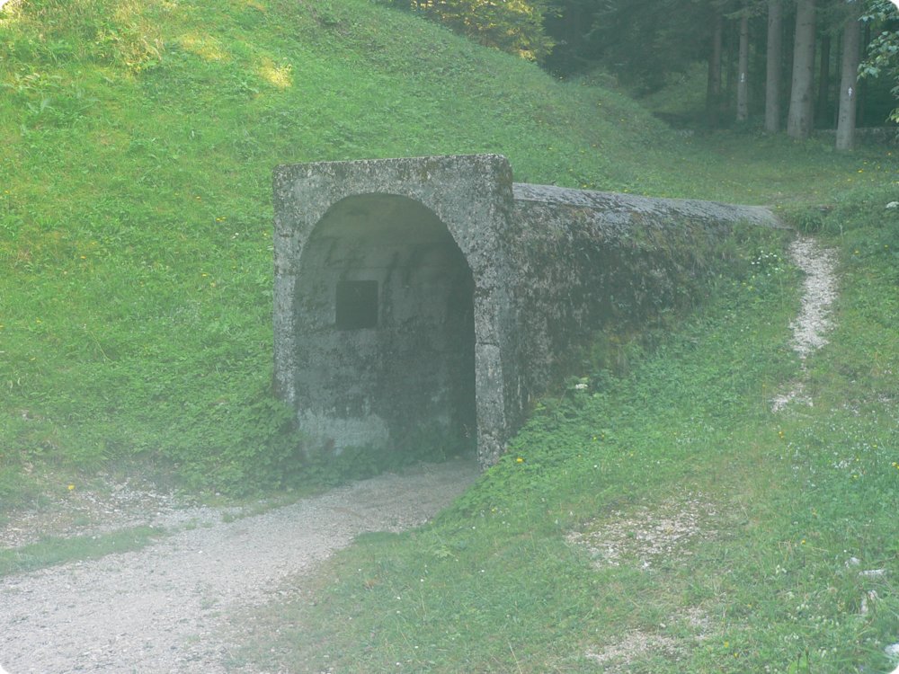 141.jpg