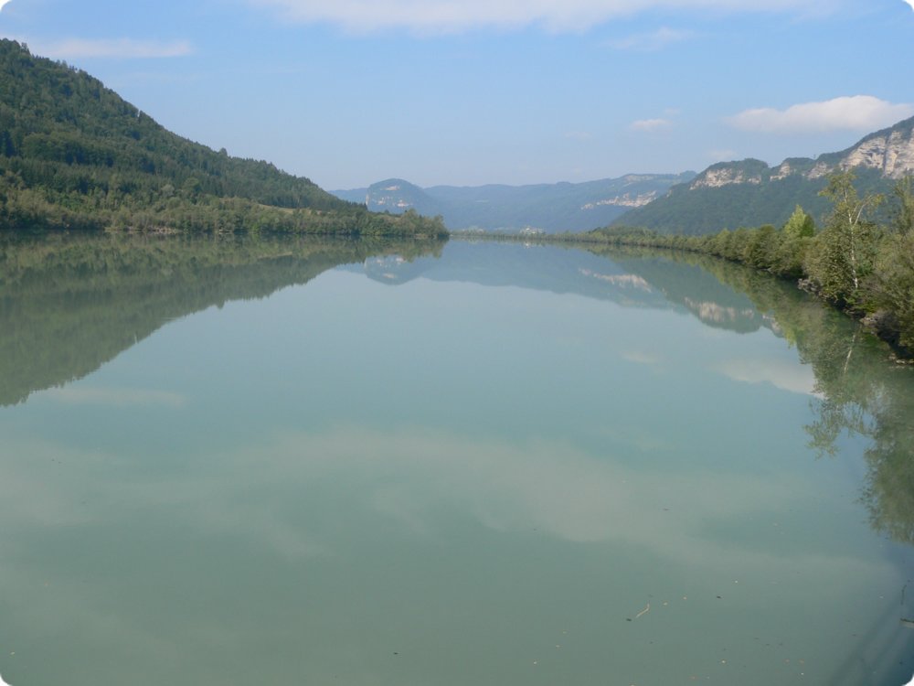 175.jpg
