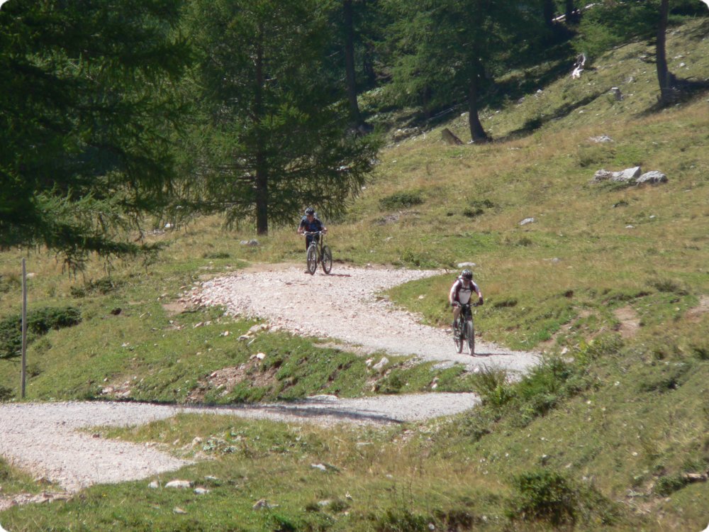 206.jpg