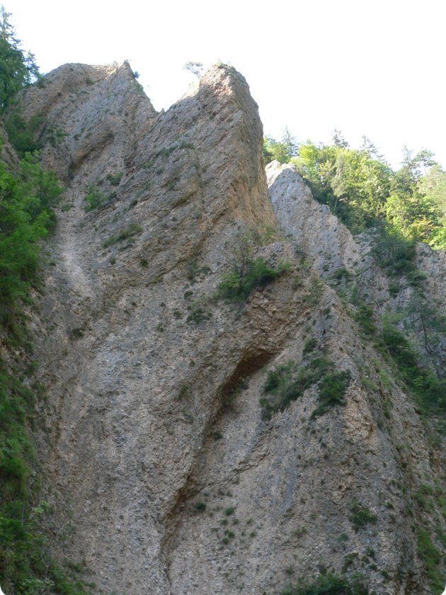 214.jpg