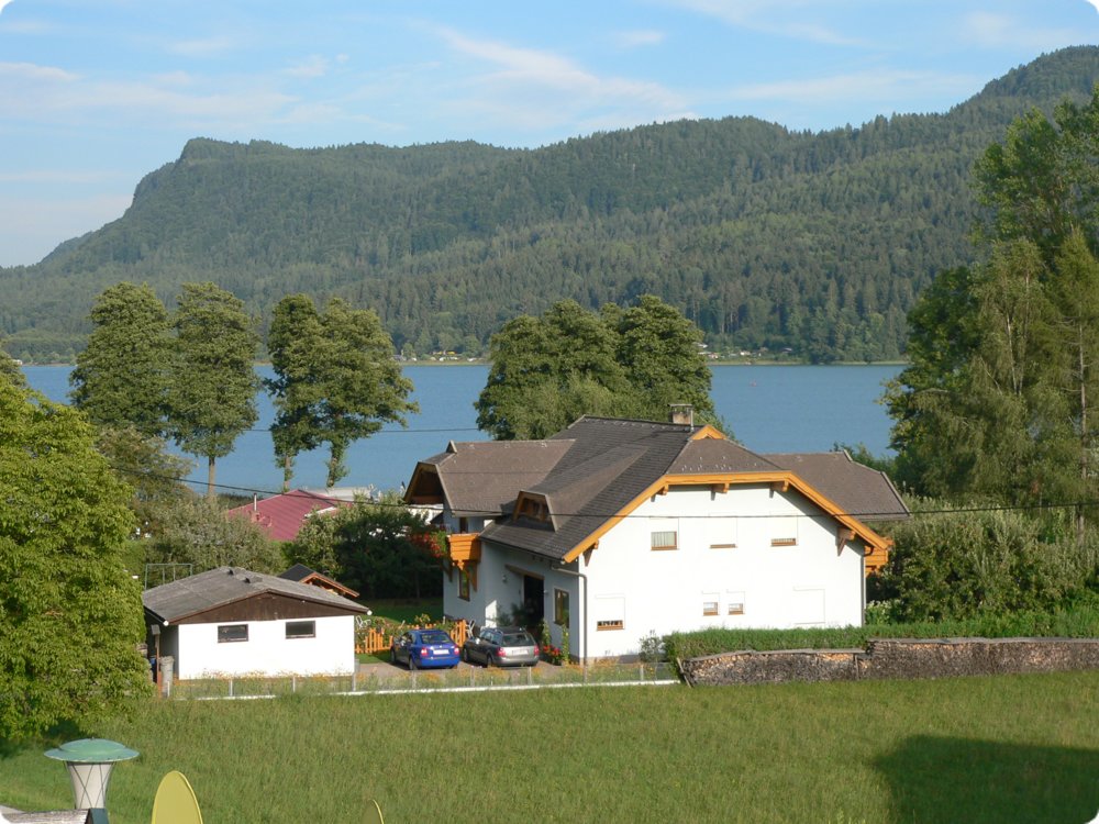 228.jpg