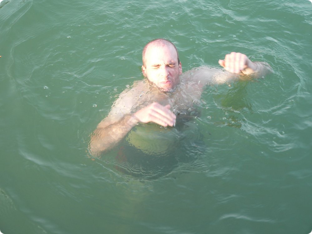 233.jpg