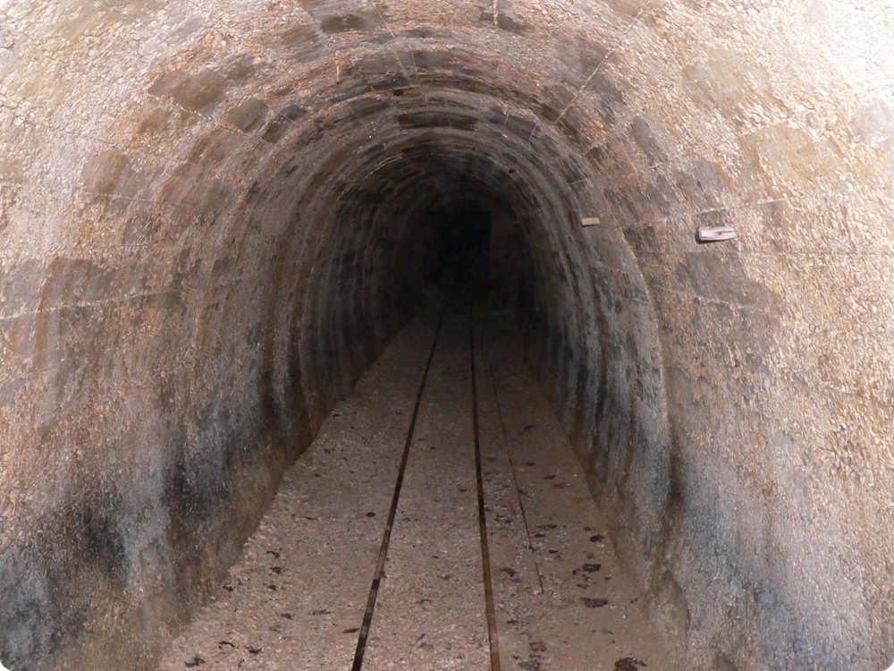 77.jpg