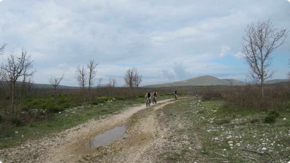 143.jpg