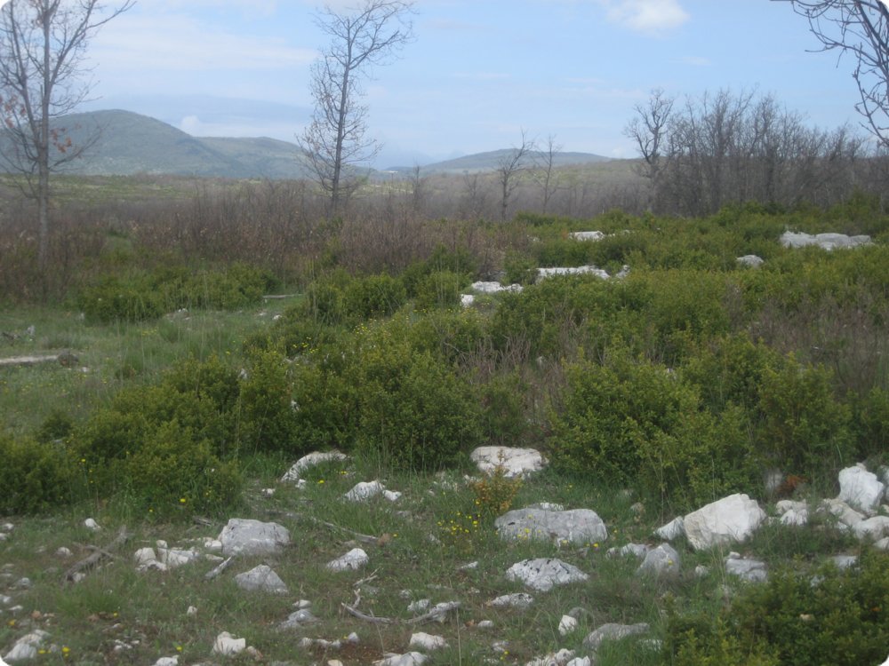 146.jpg