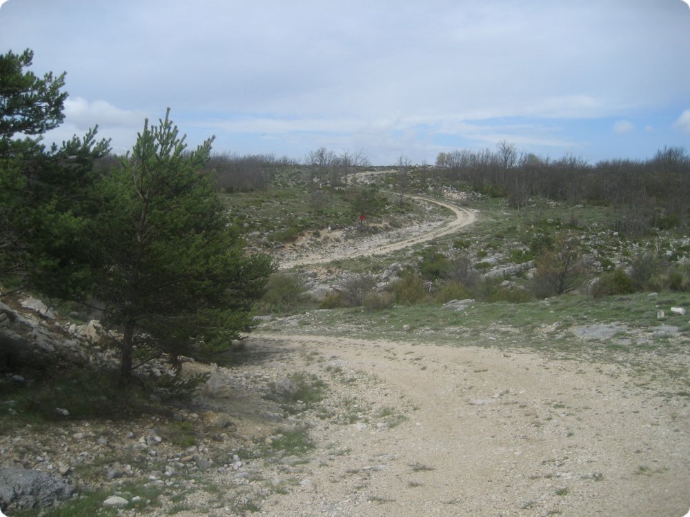 152.jpg