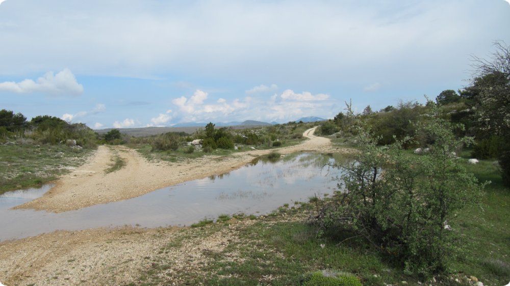 154.jpg
