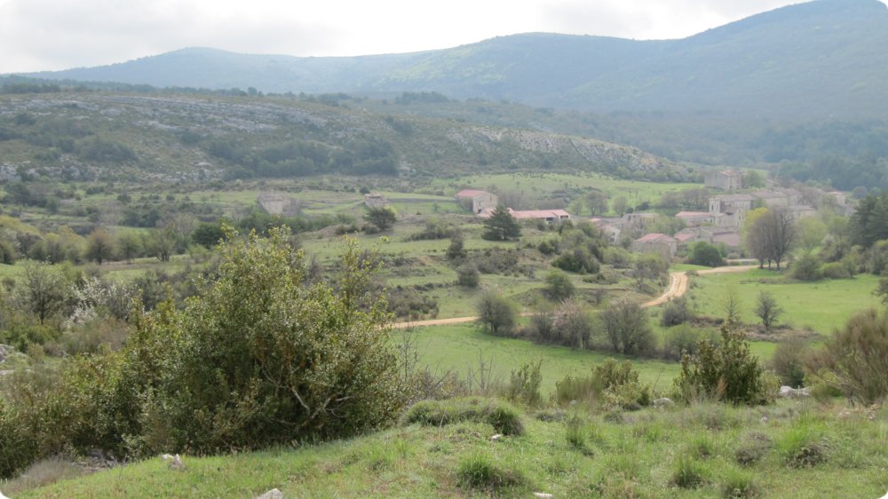155.jpg