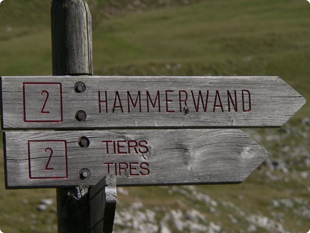 136.jpg