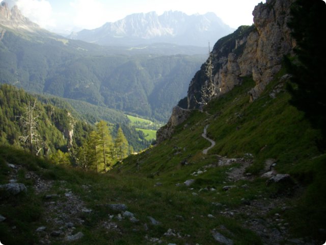141.jpg