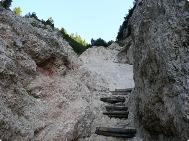 153.jpg