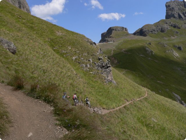 261.jpg