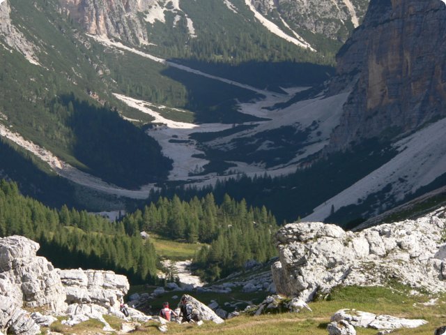 349.jpg