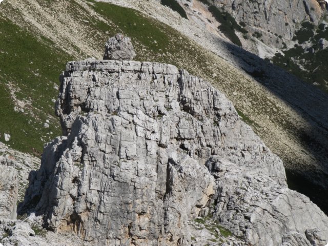 351.jpg