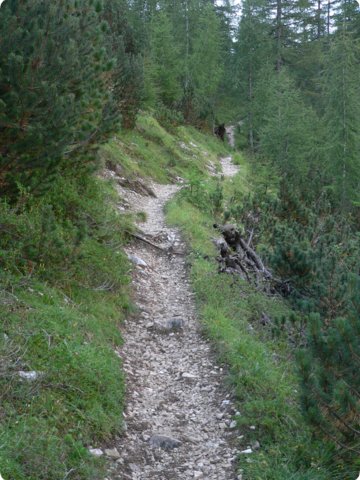 357.jpg