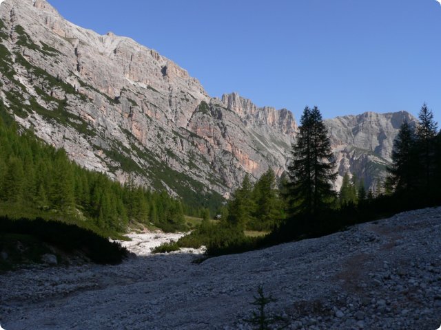 359.jpg