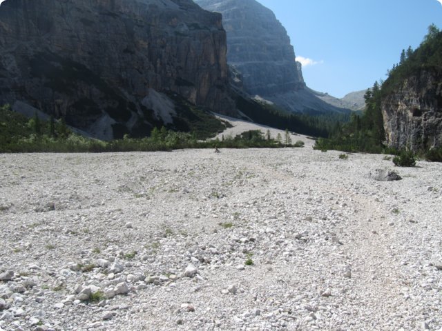 377.jpg