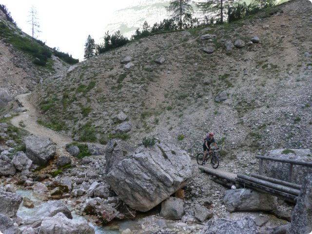 380.jpg