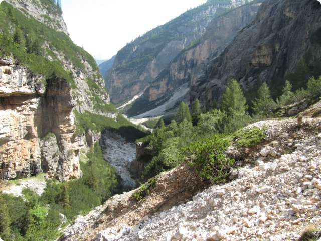 383.jpg