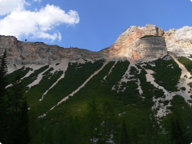 447.jpg