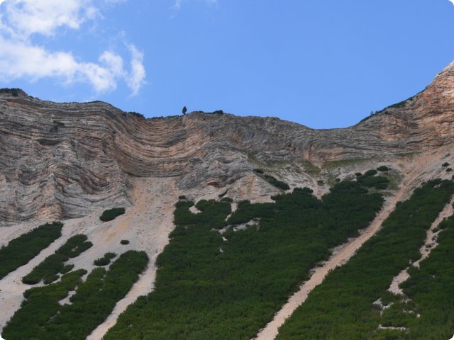 448.jpg