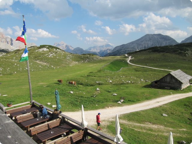 453.jpg