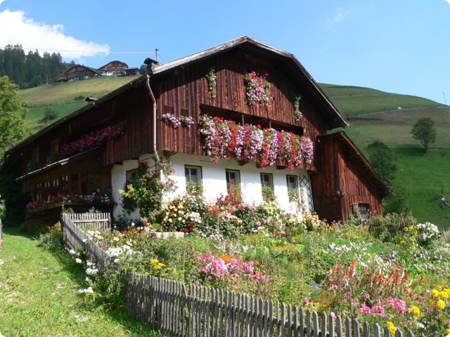 469.jpg