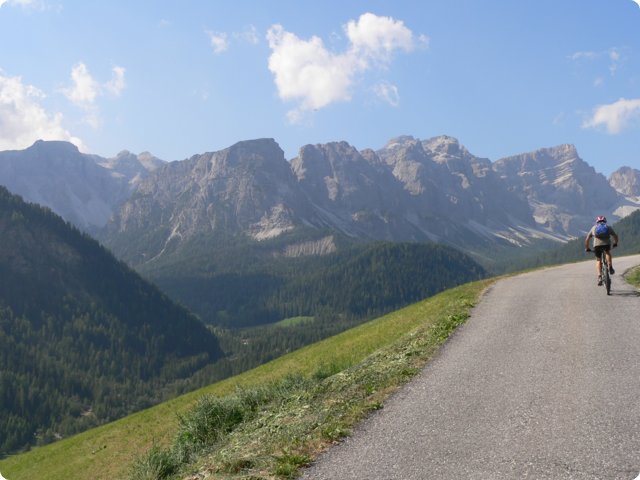 470.jpg