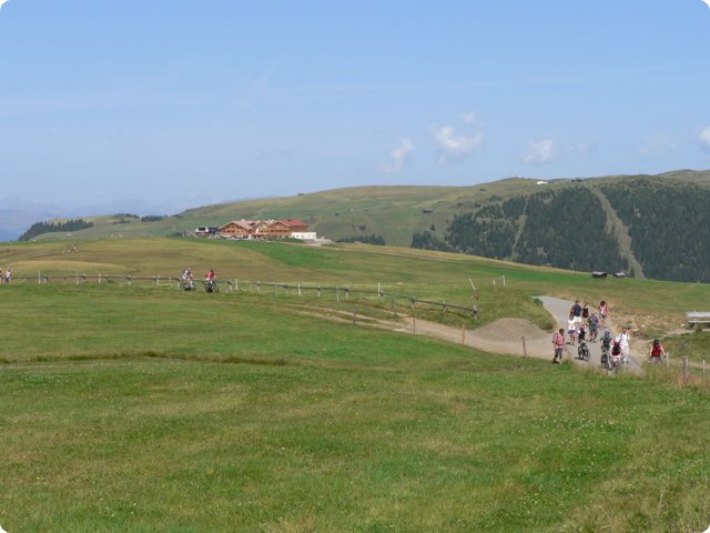 75.jpg
